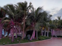 -海花岛旅游度假区