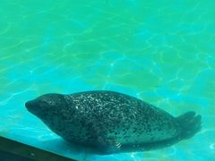 -珠海长隆海洋王国