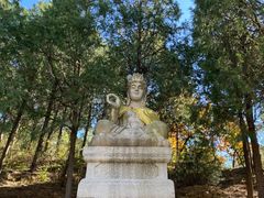 -北京十三陵国家森林公园蟒山景区