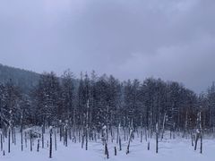 -青池