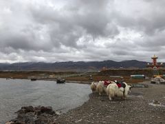-青海湖国家重点风景名胜区
