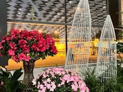 -郑州新郑国际机场