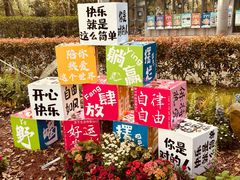 -上海共青森林公园