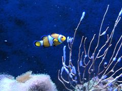 -成都浩海立方海洋公园