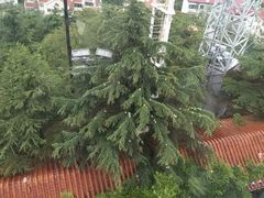 -青岛德国总督楼旧址博物馆