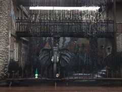 -呀路古热带植物园