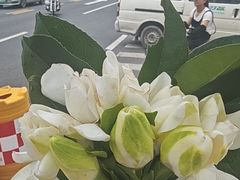 -恩阳古镇