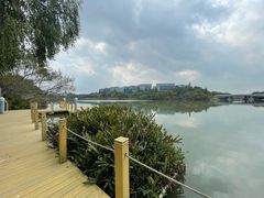 -华侨城湿地公园