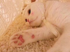 -盘炉forenza·云贵川融合小食堂 ( 钟楼中柳巷店)