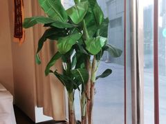 -筋骨堂热敷推拿按摩(枫林绿洲店)
