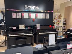 -雅歌音乐培训中心·钢琴培训·乐器培训(交道口店)