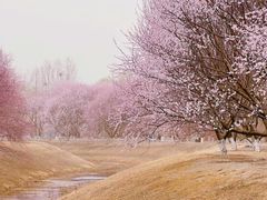 -北京奥林匹克公园