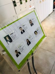 -RAYA韩国造型