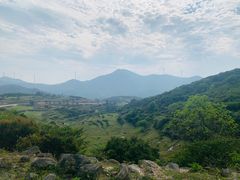 -大姆山草场