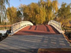 -大兴滨河森林公园