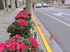 -中国石油(常德路加油站)