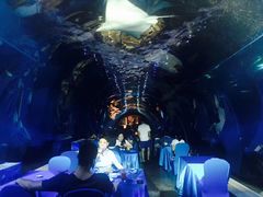 -海棠湾洲际-涛·海底餐厅·美人鱼·自助餐·海底隧道