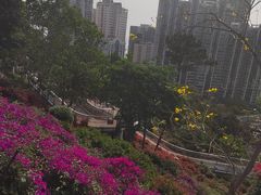 -狐尾山公园