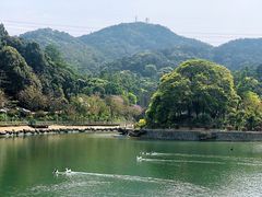 -广州市帽峰山景区