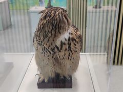 -陕西科学技术馆