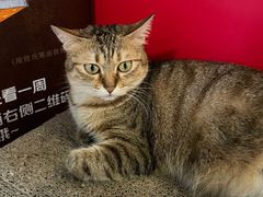 -H立方实景剧情密室(天河旗舰店)