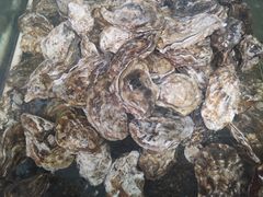 -兆辉木炭海鲜烧烤·海鲜小炒