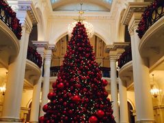 华尔道夫酒店廊吧-LONG BAR 廊吧(外滩华尔道夫酒店)