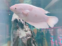 -常州海昌海洋探索馆