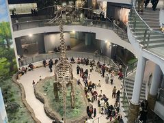-辽宁古生物博物馆
