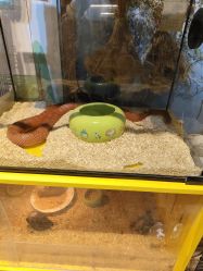 -酷嗒动物文化乐园(cutezoo西溪乐天城店)