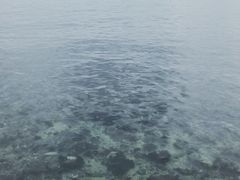 -海云台海滩