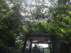 -陶祖圣境风景区