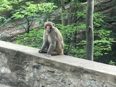 -北京上方山国家森林公园