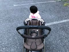 -野生动物园-停车场