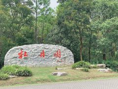 -上海海湾国家森林公园