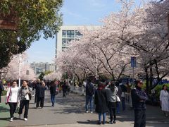 -同济大学四平路校区游泳馆