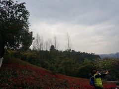 -四洞沟景区