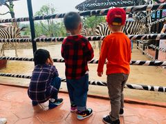 -南京汤山紫清湖生态旅游温泉度假区