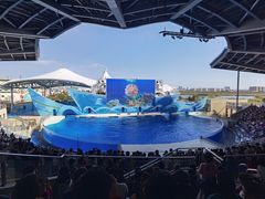 -上海海昌海洋公园
