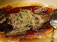 -锦粤宫·精致粤菜(深圳北站店)