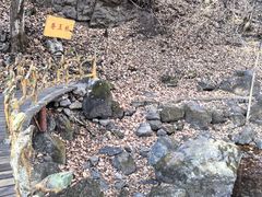 -香炉山国家森林公园