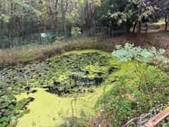 -盘龙城国家考古遗址公园