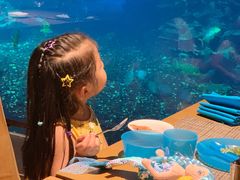 -海棠湾洲际-涛·海底餐厅·美人鱼·自助餐·海底隧道
