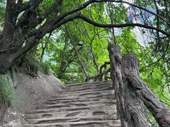 -陕西省红河谷森林公园