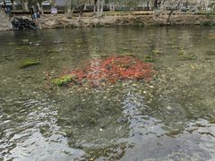 -水磨沟公园