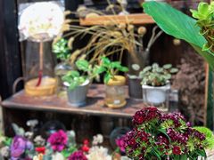 -西关84·History·Art·Cafe