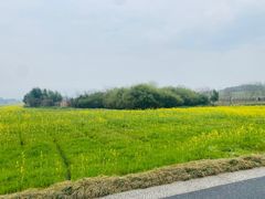 -良渚古城遗址公园