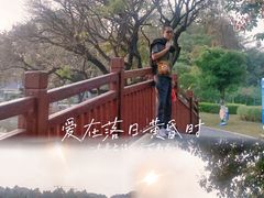 -长洲岛