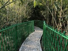 -四门塔风景区
