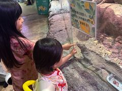 -正佳雨林生态植物园